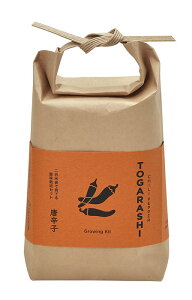 V| GD-99602 TSUTSUMI hq ii wK A͔|Zbg ̓ ̓ Mtg v[g