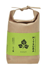 V| GD-99603 TSUTSUMI Ot v[g wK ii A͔|Zbg ̓ ̓ Mtg