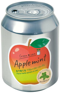 yVX[p[SALEΏ Ԍ V| O[J Abv~g GD-100601 CX^f ͔|ZbgMtg ii v[g