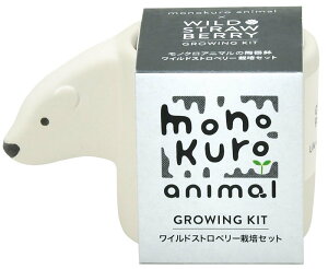 yVX[p[SALEΏ Ԍ V| mNAj} VN} ChXgx[ GD-100703 ii v[g ͔|ZbgMtg CX^f