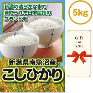 y[֑Ή10܂Łz Mtg V싛YЂ5kg sf-005-gf a  ԗi  ̓ Ε ̓ i j