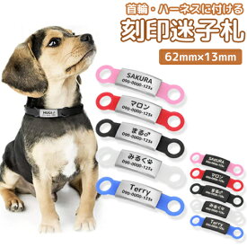 迷子札 ペットIDタグ 犬 猫 【名入れ無料】シリコンゴム付き 小型犬 ステンレス ペットネームタグ 首輪 ハーネス 名前 タグ 防止 名入れ ネーム入れ オリジナル 刻印無料サービス 迷子札 aruon 名入れ工房 【在庫限り】