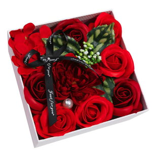 {[y&t[{bNX Zbg XtXL[NX^gp  󖳗  pen y v[g bsO Ή 20 v[g a y݌Ɍz