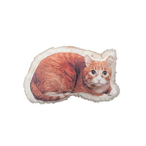 Aj} NbV 50×s30×13cm lR TTC-401C rO _CjO \t@[ xbh[