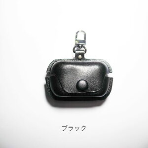 Technics EAH-AZ100(AZ-80Ή) U[P[X Jrit P[X eNjNX G[[bg100 80 Panasonic pi\jbN Cz یP[X mCYLZO ugD[X Cz [dP[