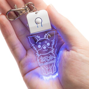 yʌI480~OFF 11/20 20:00~zL[z_[ qD  LED USB[d ybg  [h  y_g  Cg U 킢 l[v[g D ledog   Mtg v