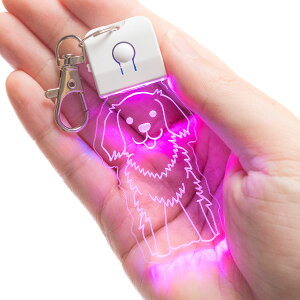 yʌI480~OFF 11/20 20:00~zL[z_[ qD  LED USB[d ybg  [h  y_g  Cg U 킢 l[v[g D ledog   Mtg v