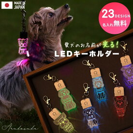 キーホルダー 迷子札 光る LED USB充電 ペット 犬 リード 首輪 ペンダント おしゃれ ライト お散歩 かわいい ネームプレート 名札 ledog 名入れ 刻印 ギフト プレゼント アクリル かばん リュック デザイン ゆうパケット2