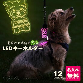 キーホルダー 迷子札 光る LED ペット 犬 リード 首輪 おしゃれ ライト お散歩 光る かわいい ネームプレート 名札 ledog 名入れ 刻印 ギフト プレゼント アクリル かばん リュック デザイン メール便発送 ゆうパケット2