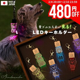 【数量限定480円オフクーポン！2/4 20時～】キーホルダー 迷子札 光る LED USB充電 ペット 犬 リード 首輪 ペンダント おしゃれ ライト お散歩 かわいい ネームプレート 名札 ledog 名入れ 刻印 ギフト プレゼント アクリル かばん リュック デザイン ゆうパケット2