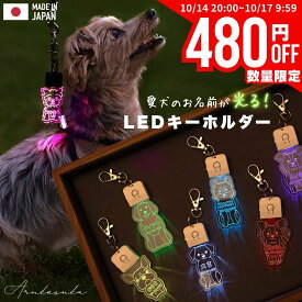 【先着順￥480offクーポン！10/14 20時～】キーホルダー 迷子札 光る LED USB充電 ペット 犬 リード 首輪 ペンダント おしゃれ ライト お散歩 かわいい ネームプレート 名札 ledog 名入れ 刻印 ギフト プレゼント アクリル かばん リュック デザイン ゆうパケット2