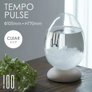 Tempo Palse e|pX [Clear] NA | Xg[OX / VC /  / IuWF / u / CeA / Mtg / 100% / 100PERCENT / qNp[ZgyE ͂sz