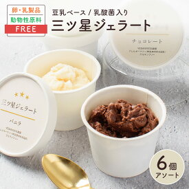 三ツ星ジェラート 6個入【バニラ・チョコレート 各3個】アイス 詰め合わせ / 無添加 卵 乳 不使用 アレルギー ベジタリアン ヴィーガン ハラル グルテンフリー オーガニック 豆乳 / ギフト 贈答 お中元 プレゼント 内祝い