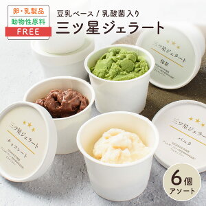 三ツ星ジェラート 6個入【バニラ・チョコレート・抹茶 各2個】アイス 詰め合わせ / 無添加 卵 乳 不使用 アレルギー ベジタリアン ヴィーガン ハラル グルテンフリー オーガニック 豆乳 / ギ
