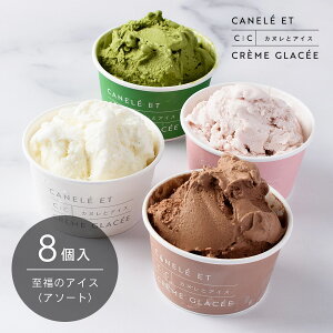 ̃ACXyA\[gz8Zbg Ⓚ /  / Mtg / 蕨 / XC[c / mَq / tX / LO / p[eB[ / ̓ / ̓ / zCgf[ / o^C ykC