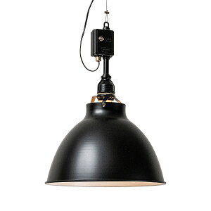 AMP ALU SHADE RO MEDIUM SWITCH ApTh A~jEVF[h Eh ~fBA XCb`jbg y_gCgyE ͂sz