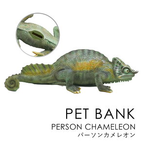 PET BANK �y�b�g�o���N PERSON CHAMELEON �p�[�\���J�����I�� | �J�����I�� / ������ / �I�u�W�F / �u�� / ���� / �C���e���A / �M�t�g / magnet / �}�O�l�b�g�y����E���� ���͂��s�z
