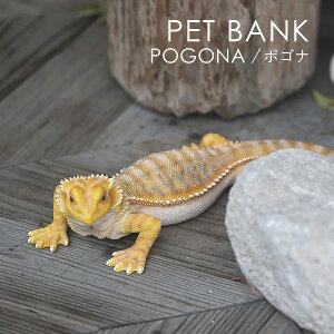 PET BANK �y�b�g�o���N POGONA �|�S�i | �t�g�A�S�q�Q�g�J�Q / ������ / �I�u�W�F / �u�� / ���� / �C���e���A / �M�t�g / magnet / �}�O�l�b�g�y����E���� ���͂��s�z