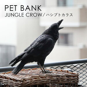 PET BANK �y�b�g�o���N JUNGLE CROW �n�V�u�g�J���X | �J���X / �G / �� / ������ / �I�u�W�F / �u�� / ���� / �C���e���A / �M�t�g / magnet / �}�O�l�b�g�y����E���� ���͂��s�z
