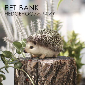 PET BANK �y�b�g�o���N HEDGEHOG �n���l�Y�~ | �j�˂��� / ������ / �I�u�W�F / �u�� / ���� / �C���e���A / �M�t�g / magnet / �}�O�l�b�g�y����E���� ���͂��s�z