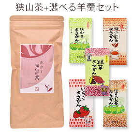 【水出し】お手軽狭山紅茶 〜和紅茶ティーバッグ〜（3g×15個入）+羊かん / 埼玉県産 / 狭山茶 / 日本茶 / お茶パック / 冷茶 / 保存用チャック付き / ようかん / 羊羹 / セット商品