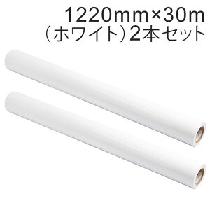2{Zbg JbeBOpV[g Oό4N 1220mm×30mizCgjNC-3501 Ǔa3C` / JbeBOV[ / JbeBOXebJ[ / SV[g /  /  / oCN / Ŕ /  / 