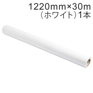 JbeBOpV[g Oό4N 1220mm×30mizCgjNC-3501 Ǔa3C` / JbeBOV[ / JbeBOXebJ[ / SV[g / V[g /  / oCN / Ŕ /  /  / 