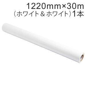 JbeBOpV[g Oό4N 1220mm×30mizCg&zCgjNC-3502 Ǔa3C` / JbeBOV[ / JbeBOXebJ[ / SV[g /  /  / oCN / Ŕ / O[ 