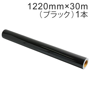 JbeBOpV[g Oό4N 1220mm×30miubNjNC-3510 Ǔa3C` / JbeBOV[ / JbeBOXebJ[ / SV[g / V[g /  / oCN / Ŕ /  /  / 