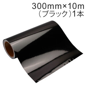 JbeBOpV[g Oό4N 300mm×10miubNjǓa3C` / JbeBOV[ / JbeBOXebJ[ / SV[g / V[g /  / oCN / Ŕ /  /  / ꂢ