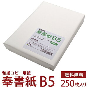 򏑎 b aRs[p  B5 250 [U[v^[ECNWFbgv^[Ή    j ژ^ [ Ƒ e ̂  ʌop _ jp ㎿a