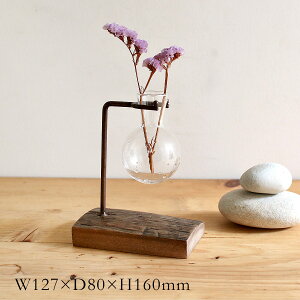 ACAKXnMO | ACA / KXx[X / fBXvC / AeB[N / Ԃт / ԕr / Ԋ / t[x[X / S / X / CeA / SOW / \EyE ͂sz