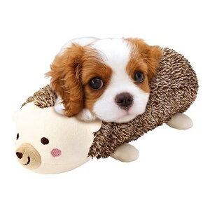 y}Jz{gۃJo[ nlY~ AS܂