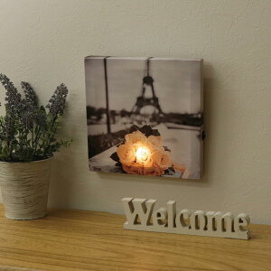 ymP[XzLED LoXA[g u[P