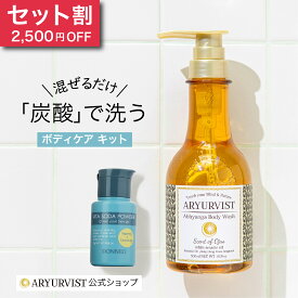 【公式】炭酸 ボディケア ボディソープ 炭酸パック ビタミンC ビタミンC誘導体 炭酸コスメ パウダー スペシャルケア 毛穴 スキンケア セール セット お尻 ザラつき すべすべ 黒ずみ ひじ 肘 | DONNEO ビタソーダパウダー ARYURVIST アビヤンガボディウォッシュ