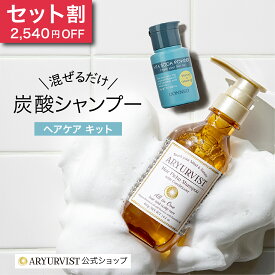 【公式】炭酸 炭酸シャンプー 炭酸パック オールインワン コンディショナー スカルプケア ビタミンC キット ビタミンC誘導体 スキンケア 炭酸コスメ レディース セール 育毛 ハリ ヘアケア 泡 頭皮 | DONNEO ビタソーダパウダー ARYURVIST ヘアピチュシャンプー
