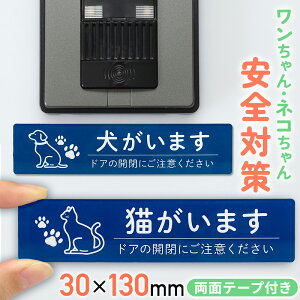 Anvis TCv[g ܂ L܂ hAv[g  L ybg яo  h S΍ ӊN \邾  AN ʃe[v h O