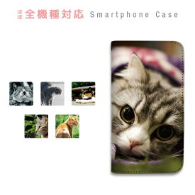 AQUOS EVER SH-02J ケース 手帳型 スマホケース ベルトなし マグネットなし カバー カード収納 動物 猫 写真 携帯ケース docomo AQUOS sczpb-066
