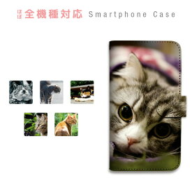 【SALE】arrows RX ケース 手帳型 スマホケース カバー カード収納 動物 猫 写真 携帯ケース simフリー ARROWS sczp-066