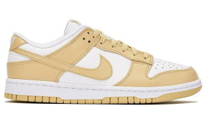 NIKE DUNK LOW RETRO iCL _N [ g