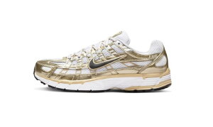 NIKE WMNS P-6000 iCL EBY P-6000