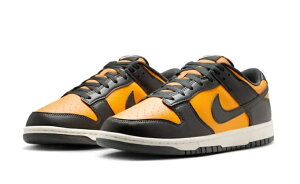 NIKE DUNK LOW RETRO iCL _N LOW g