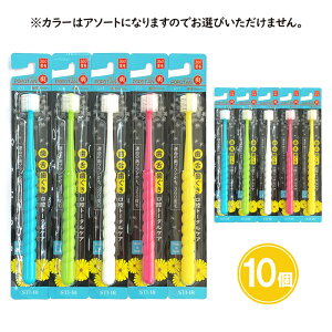 POPOTAN ぽぽたん 爽 そう 5個 10個 ふつう 360度毛 極細毛 ポポタン たんぽぽの種 日本製 360度毛歯ブラシ