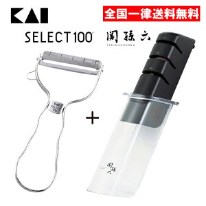 KAI ZNg100 Ts[[ ֑Z V[vi[ Zbg XeX L  _Ch & Z~bN