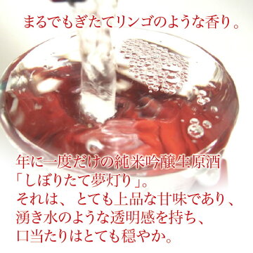 日本酒お歳暮ギフト純米吟醸生原酒しぼりたて夢灯り1800mlお酒プレゼント誕生日お祝い贈り物上品な甘味湧き水のような透明感口当たり穏やか季節限定クール便全国新酒鑑評会金賞受賞おつまみに合う12/25(火)以降随時出荷予定あさ開