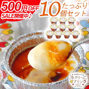 yX[p[SALE 500~JÒ!!!zhV̓ 蕨 Mtg j v[g ĕ̐N[v 10Zbg YJ\[Xt Ⓚ lC v lߍ킹 XC[