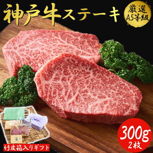 yŋzΉ!!zō A5 _ˋ Xe[L v~A MtgZbg (300g) \[Xt ̓ 蕨 hV̓ Ε j v[g p јa  Y a