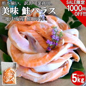 yX[p[SALE1000~JÒ!!z nX 5kg gi 󂠂 Ɩp ܂Ƃߔ ؐg ٓ ɂ ٓ Ђ ̂܂   i   ؂藎Ƃ Ⴏ 