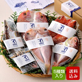 干物セット 減塩 5種類入 無添加 干物 海鮮 九州 冷凍 父の日 お中元 ギフト