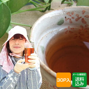 т̗t 30 ͔|Ԓ_sgpmJtFC Y f eB[obO r̗t Y [